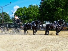 DSC_1708 Maya Wiltzius