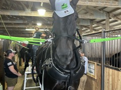 IMG_1092 Maya Wiltzius