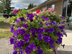 IMG_5246 Maya Wiltzius